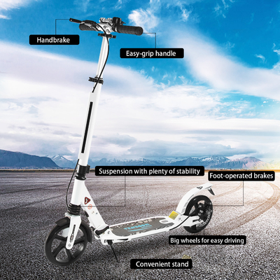Alloy 100KGS Height Adjustable Disc Brake Scooters EN 100KGS Pro Freestyle Scooter